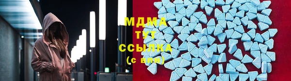 прущие грибы Верхний Тагил