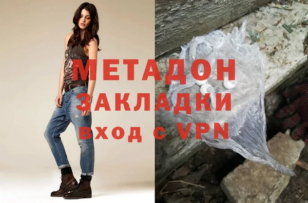 прущие грибы Верхний Тагил