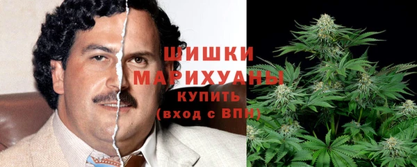 прущие грибы Верхний Тагил