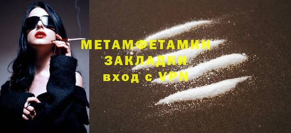 прущие грибы Верхний Тагил