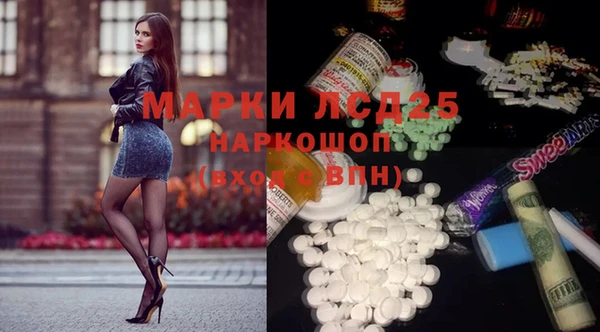 прущие грибы Верхний Тагил