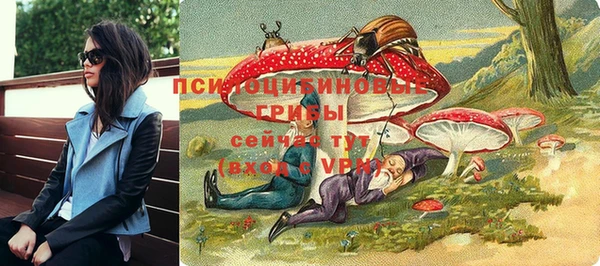 прущие грибы Верхний Тагил