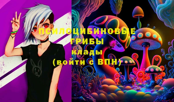 прущие грибы Верхний Тагил