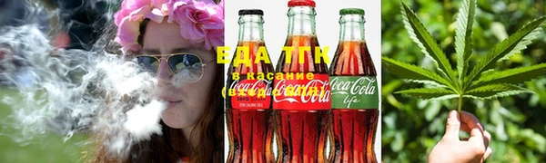 прущие грибы Верхний Тагил