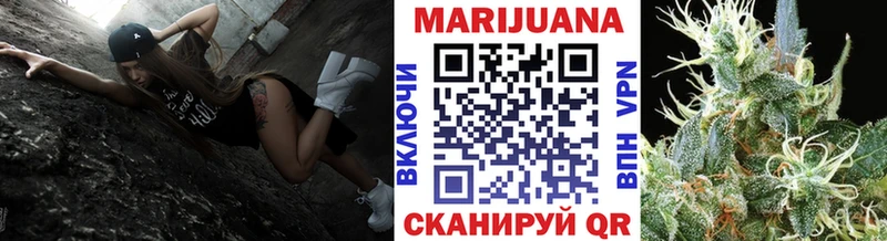 где купить наркоту  дарк нет телеграм  Каннабис конопля  Вытегра 